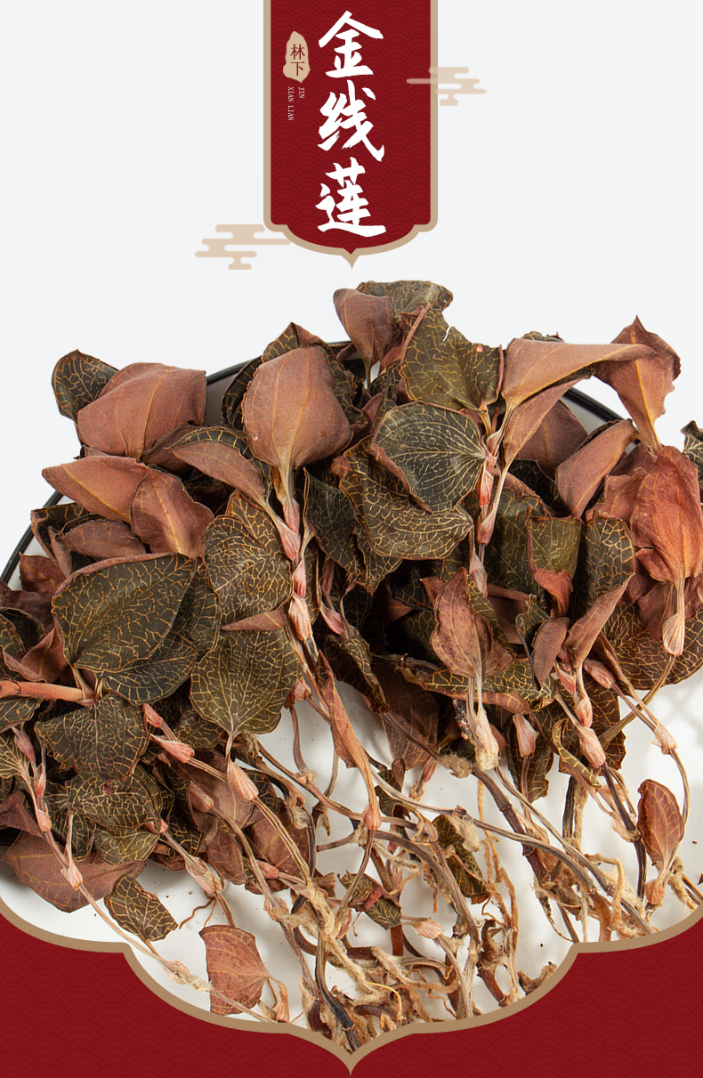 福建南靖<a href=http://www.tanson888.cn/ target='_blank'>金線蓮</a>干品