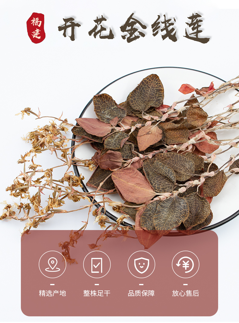 開花<a href=http://www.tanson888.cn/ target='_blank'>金線蓮</a>干品