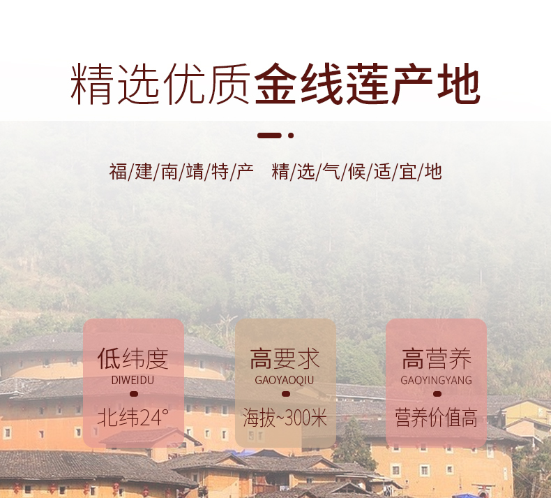 開花<a href=http://www.tanson888.cn/ target='_blank'>金線蓮</a>干品