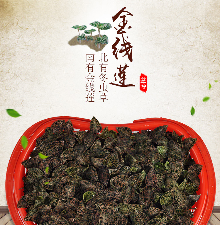 <a href=http://www.tanson888.cn/ target='_blank'>金線蓮</a>鮮品 籃裝