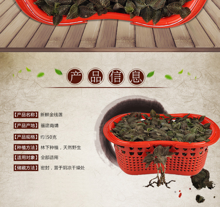 <a href=http://www.tanson888.cn/ target='_blank'>金線蓮</a>鮮品 籃裝